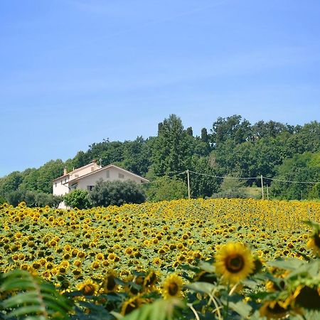 Le Piume B&B Cupramontana Extérieur photo