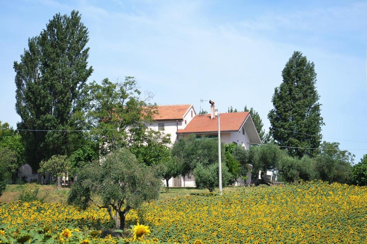 Le Piume B&B Cupramontana Extérieur photo