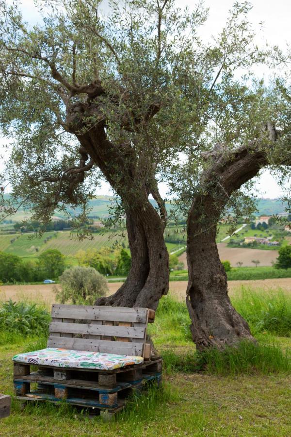 Le Piume B&B Cupramontana Extérieur photo